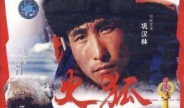 火狐电影在线观看,畅享海量影视资源，尽在指尖